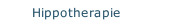 Hippotherapie